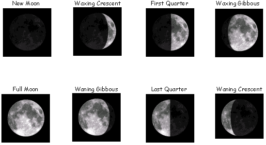 8 moon phases in order. see the Full Calendar of Order